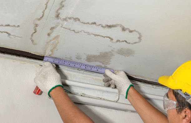 Affordable Water Damage Repair solutions in Whitman, WV